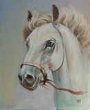 портрет лошади