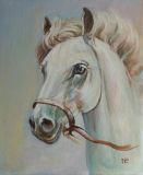 retrato de un caballo