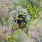 Shaggy bumblebee