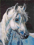 Portrait of a horse