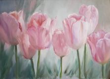 Tulipanes De Color Rosa