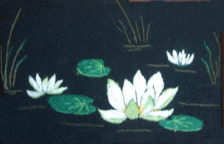 Miniature Water Lilies