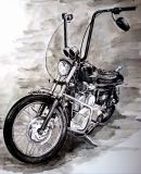 Mi Harley Davidson