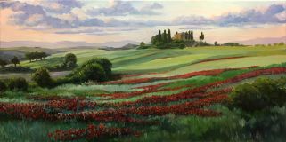 Tuscany, field of poppies