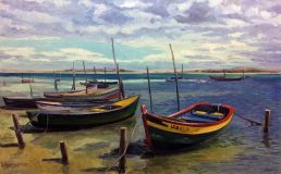 Fishing boats in the shallows