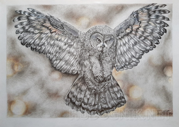 Картина Сова. Размеры: 41.8x29.6, Год: 2019, Цена: 3500 рублей Художник ...