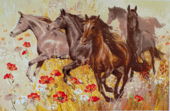 A herd of horses