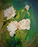 Cream peonies