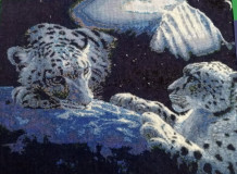 Los leopardos de nieve