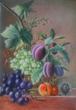 Still life with plums and grapes.