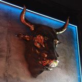 The bull's head