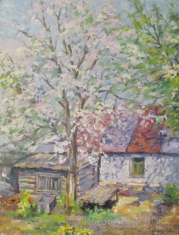 Картина Яблоня в цвету. Размеры: 30x40, Год: 2020, Цена: 7000 рублей ...