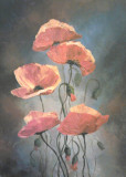 Amapolas rojas