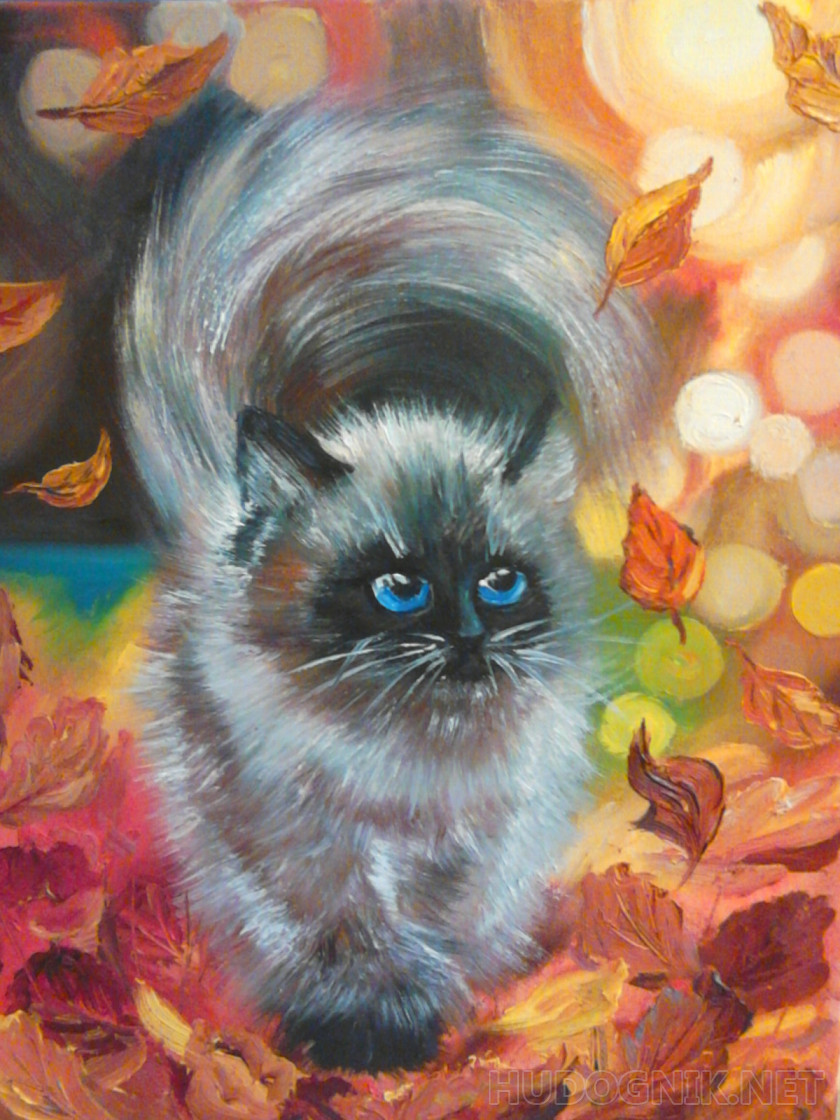 "Осенний кот"