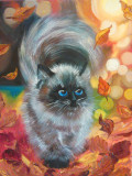 &quot;Autumn cat&quot;