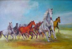 Лошади на поле