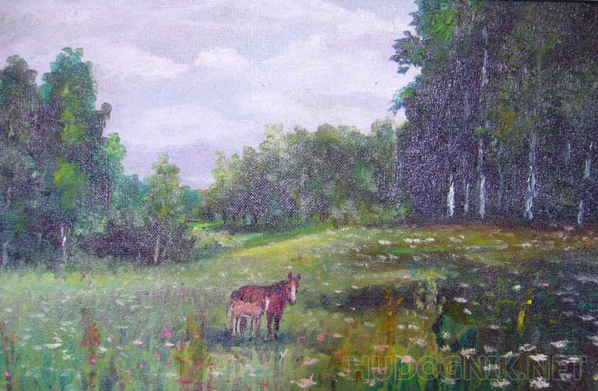 Horse in the woods