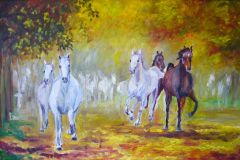 Horses on the forest road
