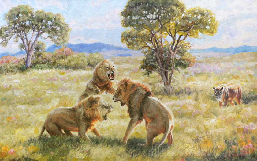 Картина со львами 