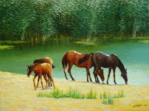 Лошади на водопое
