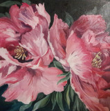 Peonies