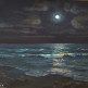 Лунная ночь на морском берегу.