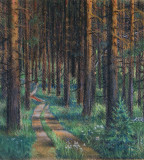 A path in a pine forest.