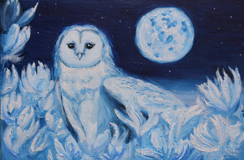 Moon owl