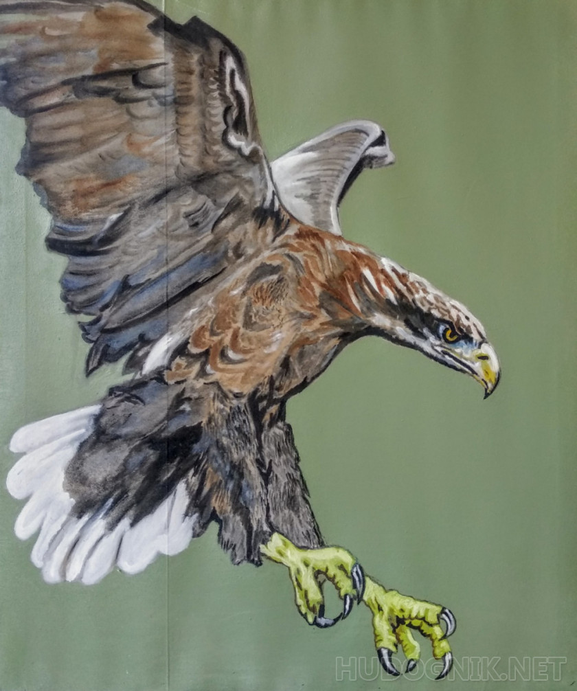 Pintura El águila real. Tamaño: 85x102, Año: 2019, Precio: 119 euro Maestro  del arte Askarov Chyngyz