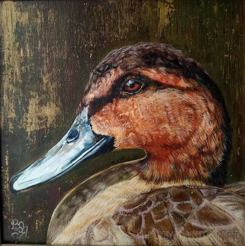 The head of a duck with a red beak