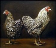 Chicken couple 1