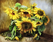 Sunflowers