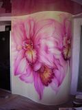 kitchen painting in Borispol