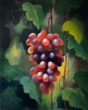 Виноград в саду. Красный виноград