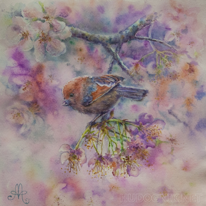 Pintura Pájaro y primavera. Tamaño: 30x30, Año: 2018, Precio: 59 euro  Maestro del arte Abramova Anna