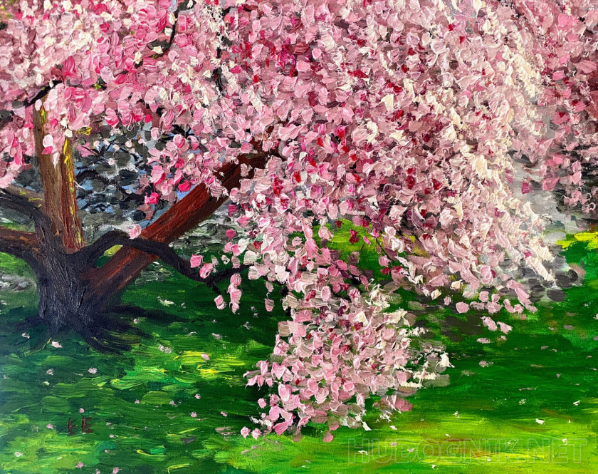 Красивые картинки цветущих деревьев весной