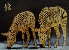 Golden zebras