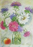 Asters and apple