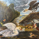 Гуси и утки . Копия по мотивам Ян Спрейт 1660