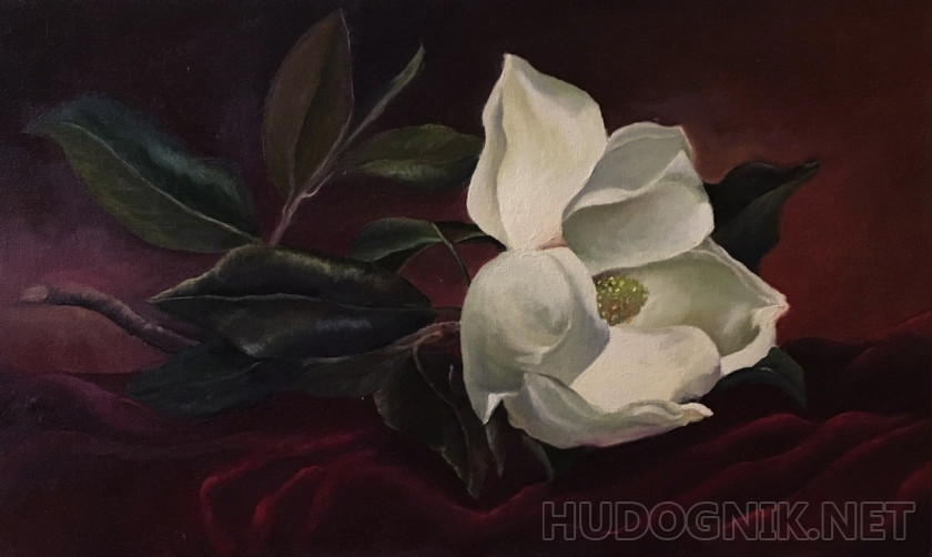Pintura Flor de Magnolia. Tamaño: 50x30, Año: 2020, Precio: 31 euro Maestro  del arte SHibanova Olga