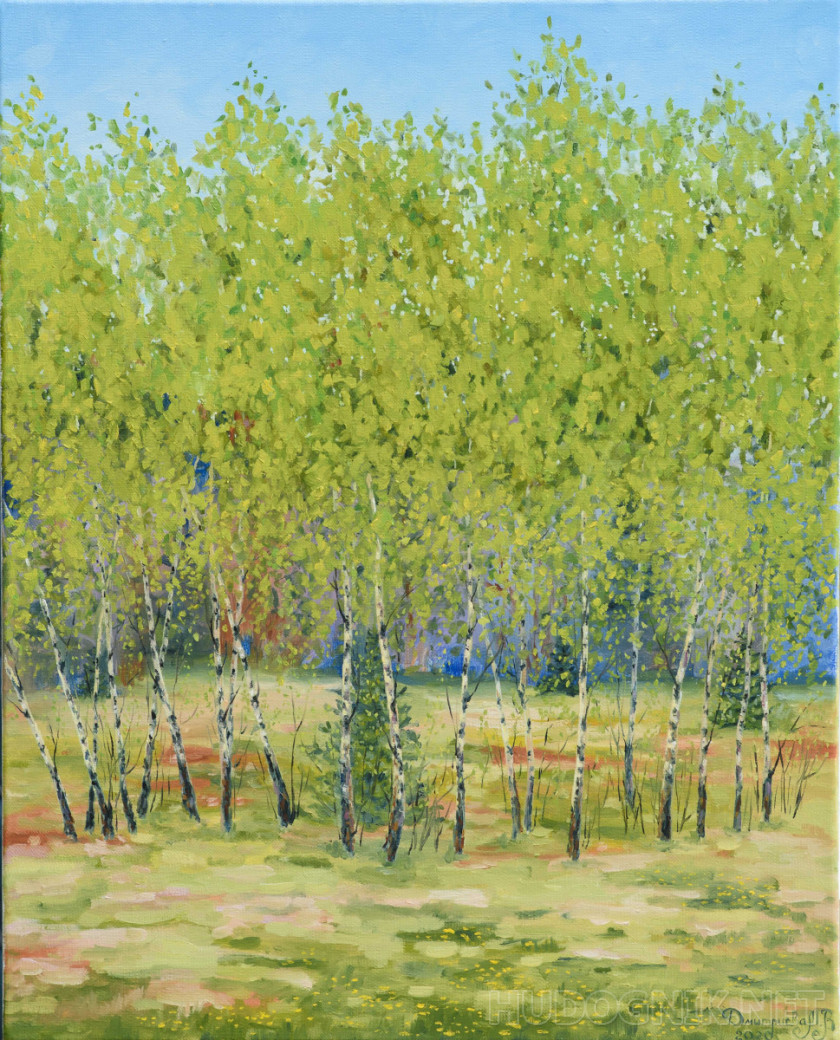 Young birch-trees
