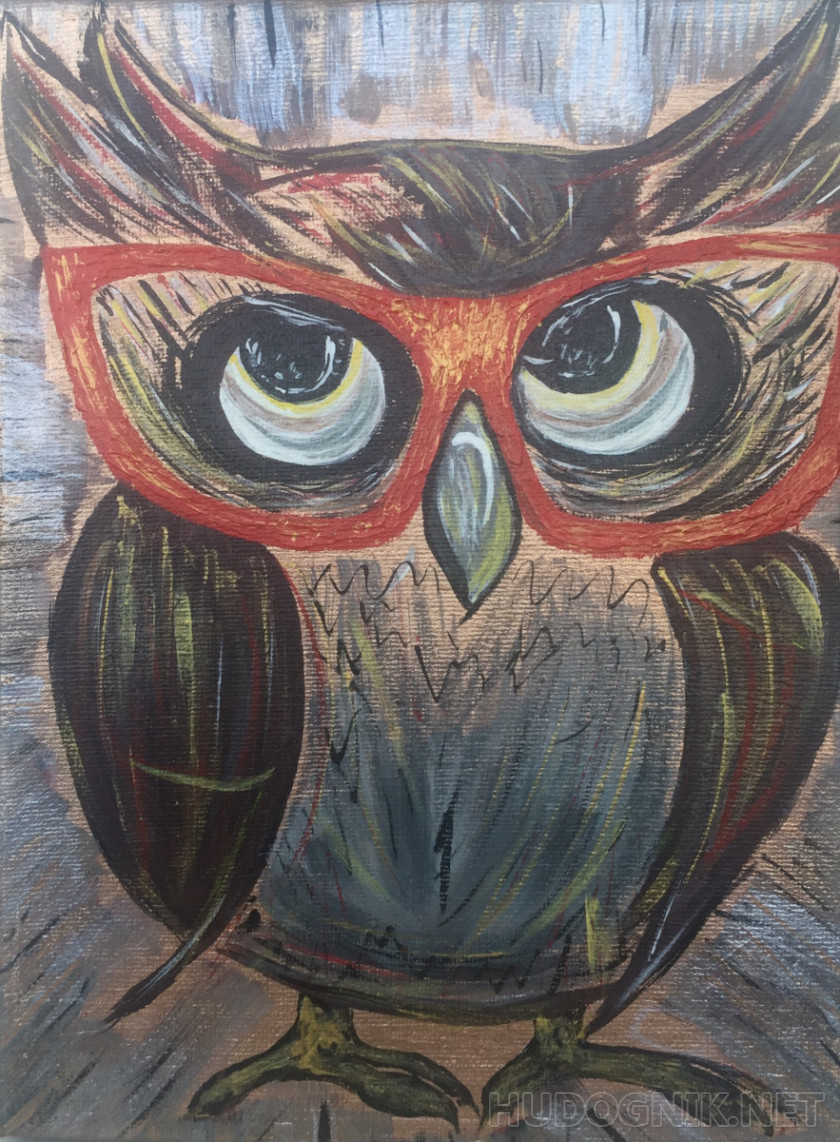 Owl in red glasses