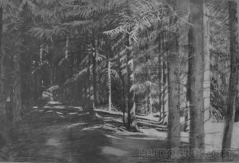 Ахунский лес