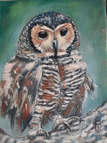 Sovushka (Owl)