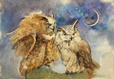 Owls