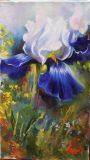 Blue iris formal