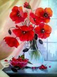 Poppies on the window