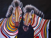Multicolored zebras N6