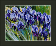 Irises