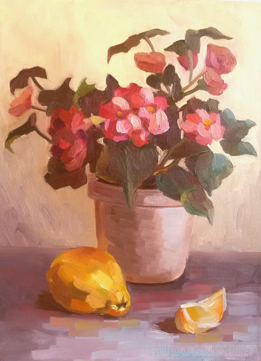 Pintura Begonia en la luz dorada del día. Tamaño: 30x40, Año: 2020, Precio:  126 euro Maestro del arte SCHerilya Svetlana